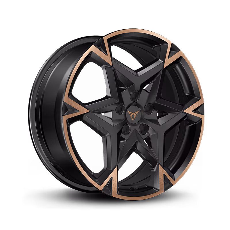 19” Polar Siyah/Bakır